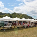 Farmer's Market at Catawba Farm Fest (August 2012) - photo by Teresa Gereaux