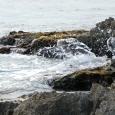 Cozumel coastline- photo by Julie King