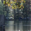 A view of Lake Eden at the Fall 2011 Lake Eden Arts Festival - photo  Jason Lombard