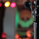 Stage microphones at the Fall 2011 Lake Eden Arts Festival - photo  Jason Lombard