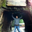 Patrick McAvinue exploring the California Redwoods touring out west with Audie Blaylock and Redline