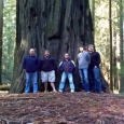 Audie Blaylock and Redline pose with a giant redwood