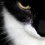 Profile picture of RJ Buckingham