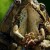 Avatar of franklin gadd
