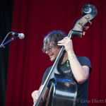 Gio Benedetti with The Brothers Comatose at DelFest 2016 - photo © Gina Elliott Proulx