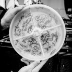 Signed flying disc at the Blue Ox Music Festival (6/15) - photo © Shelly Swanger Photography