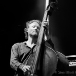 Chris Wood with The Wood Brothers at DelFest 2016 - photo © Gina Elliott Proulx