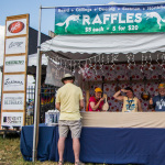 Step right up and take a chance at Grey Fox 2016 - photo © Tara Linhardt