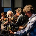 David Grisman Bluegrass Experience at the 2014 Bristol Rhythm & Roots Reunion (9/20/14) - photo © Alane Anno