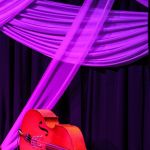 Lonely bass awaits its time on stage at World of Bluegrass 2016 - photo by Frank Baker