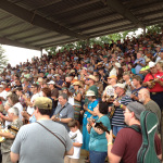 Successful Guinness Record attempt at Galax 2012 - photo by John Goad