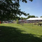 Gettysburg Bluegrass Festival (May 2015) - photo by Frank Baker
