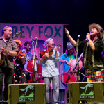 Darol Anger & Friends at the 2015 Grey Fox Bluegrass Festival - photo by Tara Linhardt