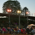 Audience at Felts Park for HoustonFest 2014 - photo by Jordan Laney