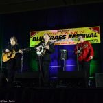 Gary Waldrep at the 2014 New Years Bluegrass Festival - photo © Bill Warren
