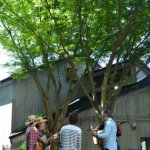 Rehearsing before a show at KazCamp 2015