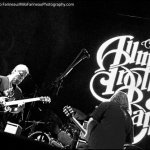 Allman at Lockn\' 2014 - photo © G. Milo Farineau