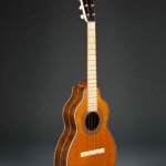 1843 CF Martin guitar, displayed at the Metropolitan Museum of Art￼, photo by John Sterling Ruth