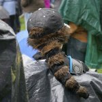 Keeping dry with a coonskin cap on Sunday at MerleFest 2013 - photo by Andy Garrigue