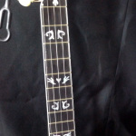 Davis Banjo Done Reno model banjo