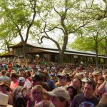 Crowd shot at Old Settler's Music Festival 2015 - photo by John Grubbs