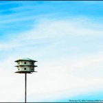 Lone birdhouse at 2013 Suwanee Springfest - photo © G. Milo Farineau