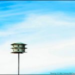 Lone birdhouse at 2013 Suwanee Springfest - photo © G. Milo Farineau