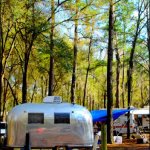 Camping at Suwanee Springfest 2013 - photo © G. Milo Farineau