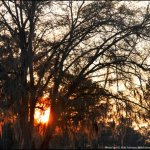 Sunset at Suwanee Springfest 2013 - photo © G. Milo Farineau