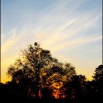 Sunset at Suwanee Springfest 2013 - photo © G. Milo Farineau