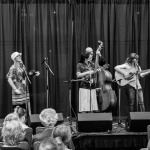 Gold Heart performs at the 2015 World of Bluegrass - photo © Tara Linhardt