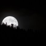 Supermoon over the 2013 Telluride Bluegrass Festival - photo © Jason Lombard