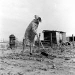 Hard ground to hoe during the Dust Bowl period in the 1930s