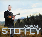 New Primitive - Adam Steffey