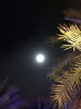 Moon over Oman - photo by Bob Perilla