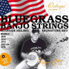 Rudiger Helbig banjo strings from Ortega