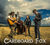 Cardboard Fox