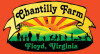 Chantilly Bluegrass and BBQ festival