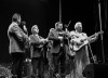 Del McCoury Band performing at Grey Fox 2015 - photo by Tara Linhardt