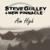 Aim High - Steve Gulley & New Pinnacle