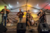 The Peregrines at The Gulpener Bluegrass Festival - photo © Hank Hennuin