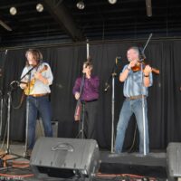 Nothin' Fancy performs at the 2017 YeeHaw Junction Bluegrass Festival - photo © Bill Warren