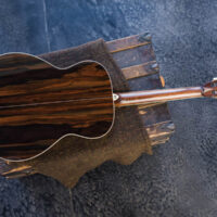 thompson-guitars-brazilian-rosewood-0000-2-1