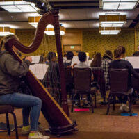 Youth Orchestra with Bob Phillips conducting  at Wintergrass 2017 - photo © Tara Linhardt