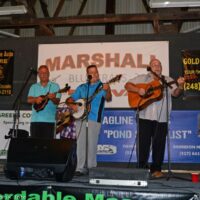 Harbourtown at the 2017 Marshall Bluegrass Festival - photo © Bill Warren