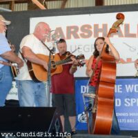 Band scramble participants at the 2017 Marshall Bluegrass Festival - photo © Bill Warren