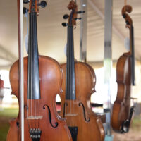Fiddles for sale at the 2017 Oklahoma International Bluegrass Festival - photo by Pamm Tucker