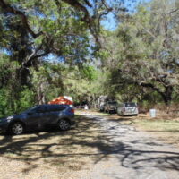 Camping under the trees at the 2018 Everglades Bluegrass Festival - photo by Dale & Darcy Cahill