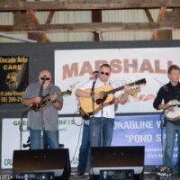 New County Grass at the 2018 Marshall Bluegrass Festival - photo © Bill Warren