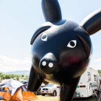 Flying Pig campsite mascot at Grey Fox 2018 - photo © Tara Linhardt